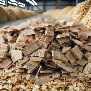 Vietnamese Manufacturer's 100% Acacia Oak Wood Chips Good Price Bulk Container for Paper Production 2