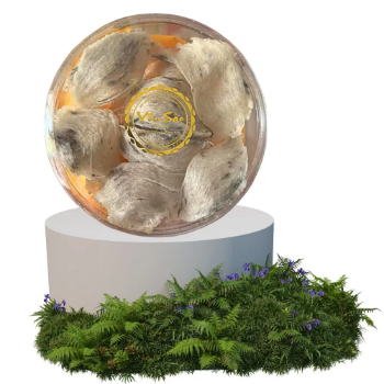 Wholesale Bird Nest Gift Box Cleaned Premium Bird's Nest Raw Natural Bird's Nest Best Price Ready To Export Made In Vietnam