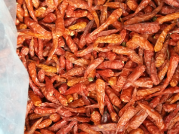 Wholesale Dried Chilli Fruits And Vegetable Good price Follow the Customer's Request Made in Vietnam Manufacturer 4