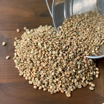 OEM ODM Wholesale Green Bean Coffee Factory Price Robusta Bean Filter Coffee Fruity Taste From Vietnamese Manufacturer