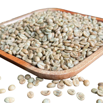 Wholesale Green Coffee Beans Reasonable Price Robusta Machine Coffee Chocolate Taste From Vietnam Manufacturer High Quality