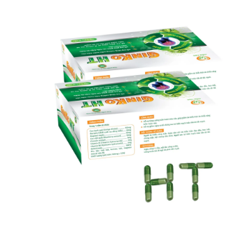 Wholesale Organic Herbal Supplement Ginko HT Pharmaceutical OEM ODM Customized Packaging Vietnam Manufacturer Factory Price 4