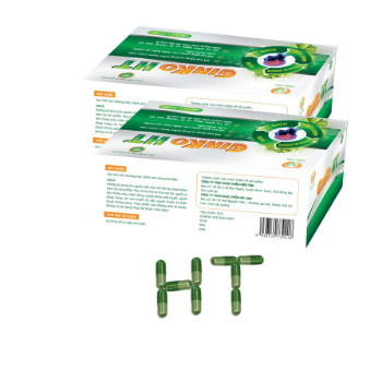 Wholesale Organic Herbal Supplement Ginko HT Pharmaceutical OEM ODM Customized Packaging Vietnam Manufacturer Factory Price 5