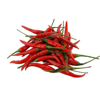Wholesale Vietnam Fresh Chili High Quality Red Chili Spicy Taste For Food Use Best Price