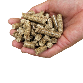 Wholesale Wood Pellets Manufacturer Good Price Biomass Fuel Heating System Hardwood Pellets Bulk In Container Made In Vietnam 1