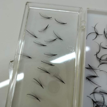 Eyelash Extension Wispy And Camellia Fan High Quality Wholesale Private Label With Custom Brand Box In Vietnam Factory 3