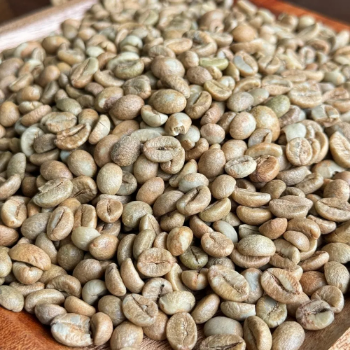 Yellow Honey Robusta Coffee Green Bean High Quality 100% Organic 60 kg/bag Vietnam Manufacturer