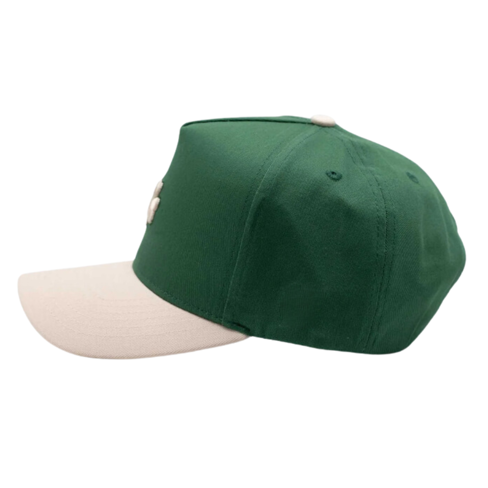 3D Embroidery Two Tone Baseball Gorras 5 Panel Structured Floral Pattern Adjustable Snapback Single Row Buckle Sporty All Ages 4