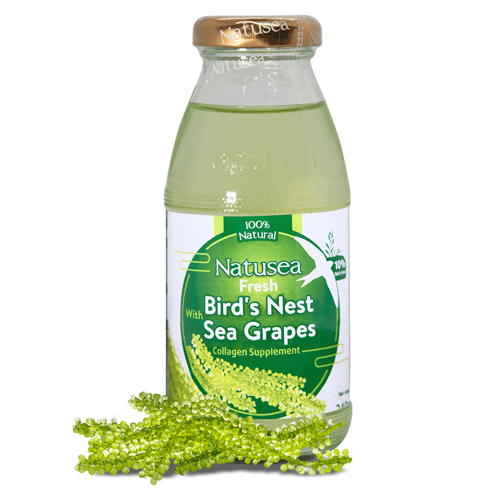 Bird Nest Price Good Price Healthy Drink Puree Mitasu Jsc Customized Packaging From Vietnam Manufacturer 7