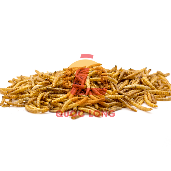 Dried Mealworm For Fish Competitive Price Export Animal Feed High Protein Pp Bag Vietnam Manufacturer 2