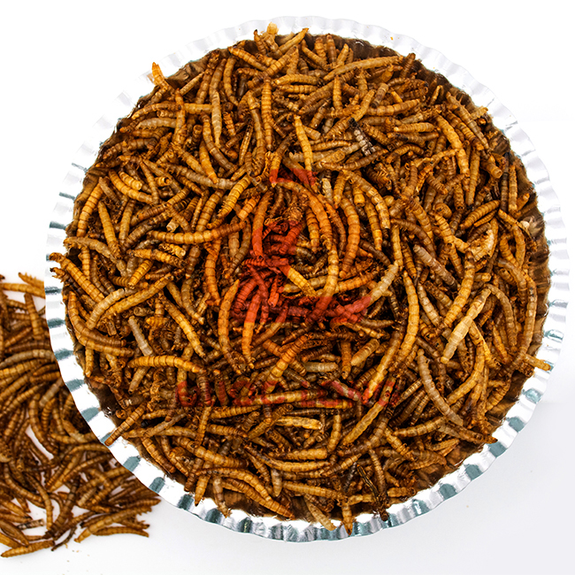 Dried Mealworms For Chickens Fast Delivery Export Animal Feed High Protein Customized Packaging Vietnam Manufacturer 8