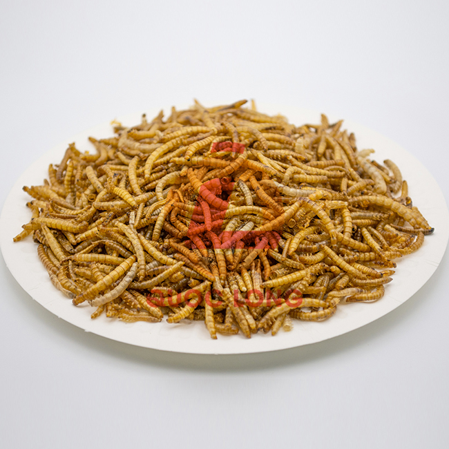 Dried Mealworms For Chickens Fast Delivery Export Animal Feed High Protein Customized Packaging Vietnam Manufacturer