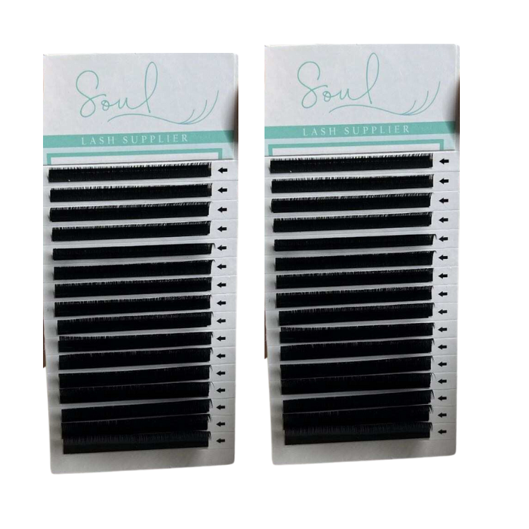 Good Quality Black Light OEM Lashes Fans Eyelash Extension 16D 003 New Environmental friendly Beauty Color Tray Promade Volume