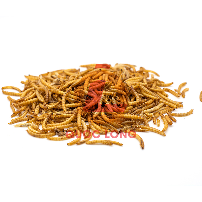 Dried Mealworm For Fish Professional Team Export Animal Feed High Protein Customized Packaging Vietnam Manufacturer 5