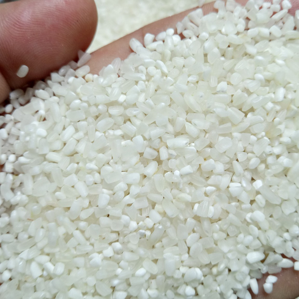 100% Broken Rice Whole Price Good Taste Rice For Food HALAL BRCGS HACCP ISO 22001 Vacuum Packed Vietnam Manufacturer 3
