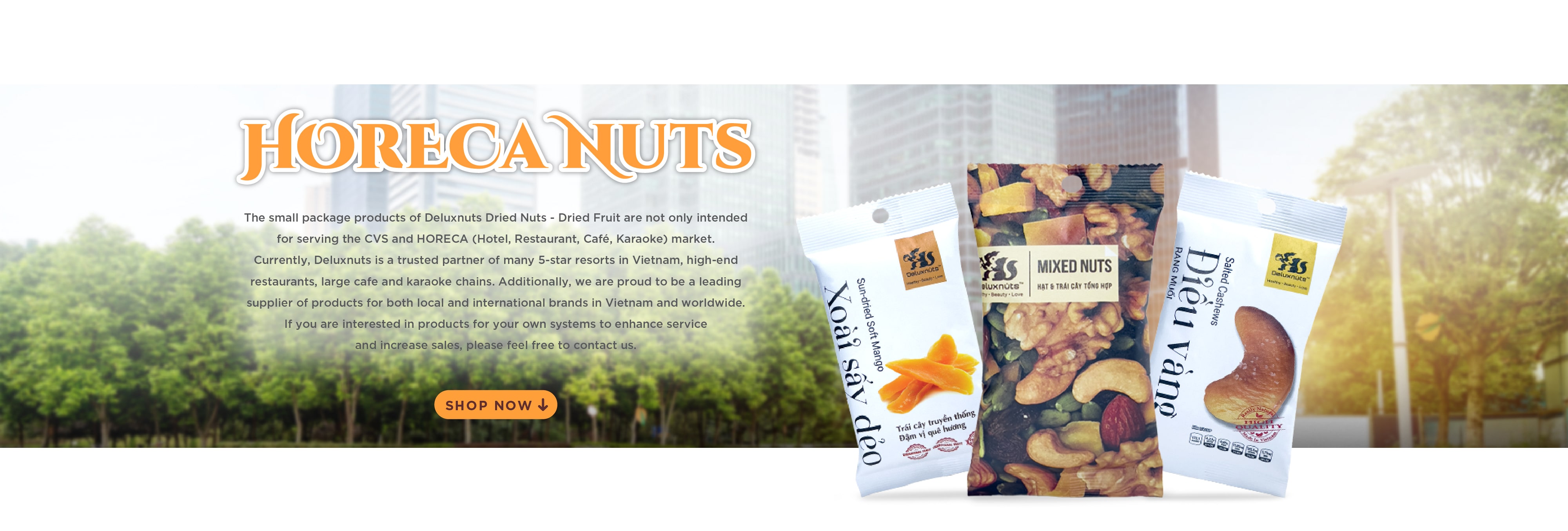 DELUXNUTS IMPORT EXPORT SERVICE TRADING JOINT STOCK COMPANY