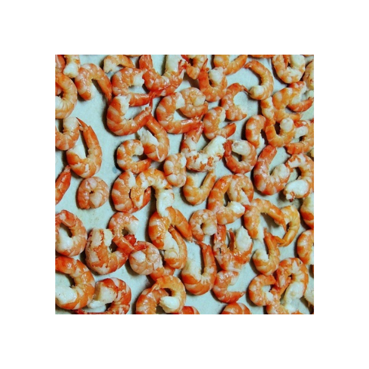 The Fast Delivery Sun Dried Baby Shrimp Natural Fresh Customized Size Prawn Natural Color From Vietnam Manufacturer 1