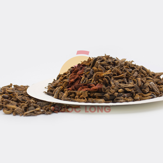 Black Soldier Fly Larvae Dryers Fast Delivery Export Animal Feed High Protein Customized Packaging From Vietnam Manufacturer