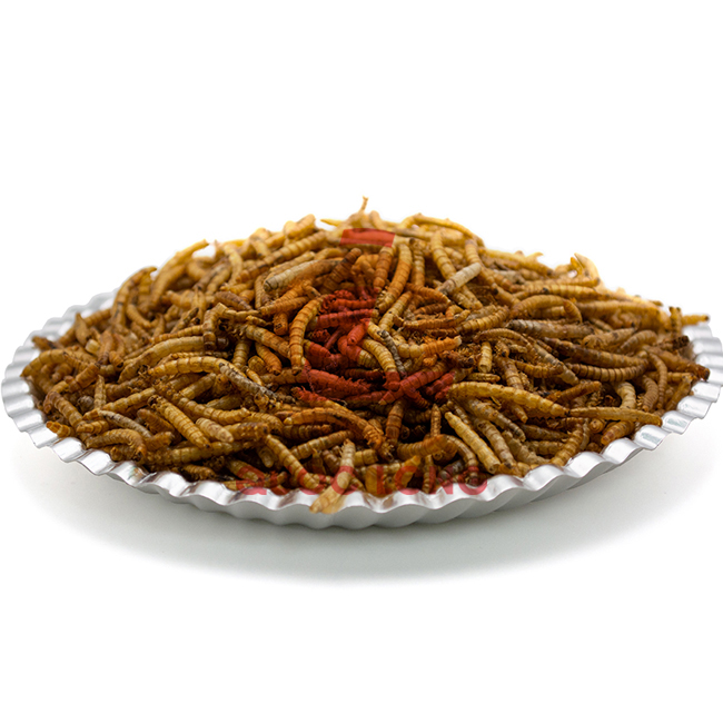 Mealworms Dried Fast Delivery Export Animal Feed High Protein Customized Packaging Vietnam Manufacturer
