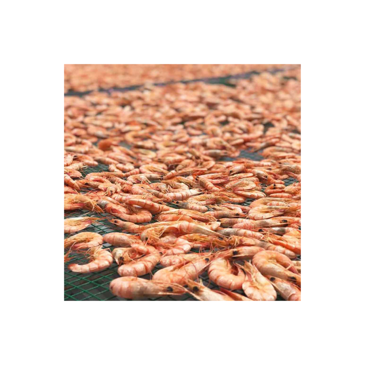 The Best Seller Shrimp Sin Dry Natural Fresh Customized Size Prawn Natural Color From Vietnam Manufacturer