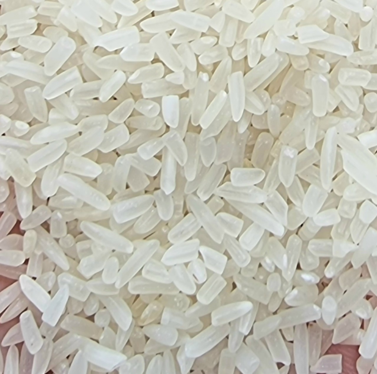 Vietnam Rice 100 Percent Broken Best Selling Common Cultivation Cooking Food HALAL BRCGS HACCP ISO 22000 Vacuum Customized Pack 4