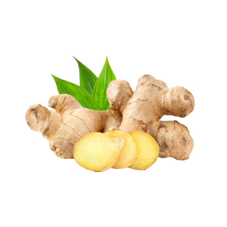 Fast Delivery Fresh Ginger Natural Fresh High Nutrients Organic Natural Yellowish Vietnam Manufacturer 6