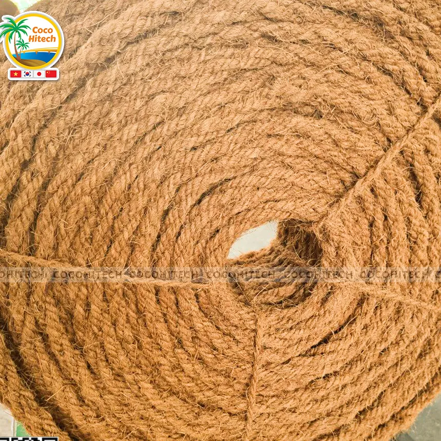 coco-hitech-import-export-co-ltd-67dc.webp