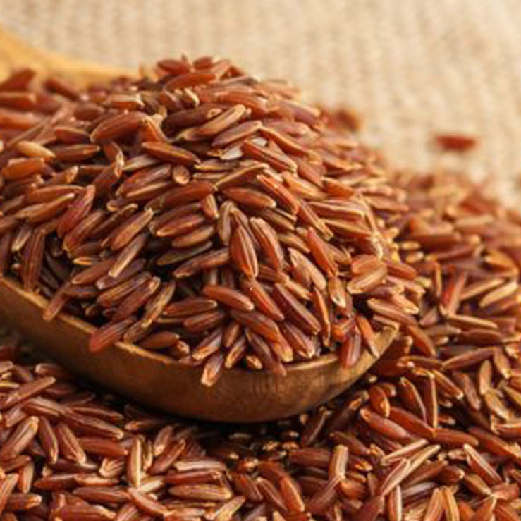 Brown Rice Red Rice Bulk Sale High Benefits Using For Food HALAL BRCGS HACCP ISO 22000 Certificate Vacuum Customized Packing 6