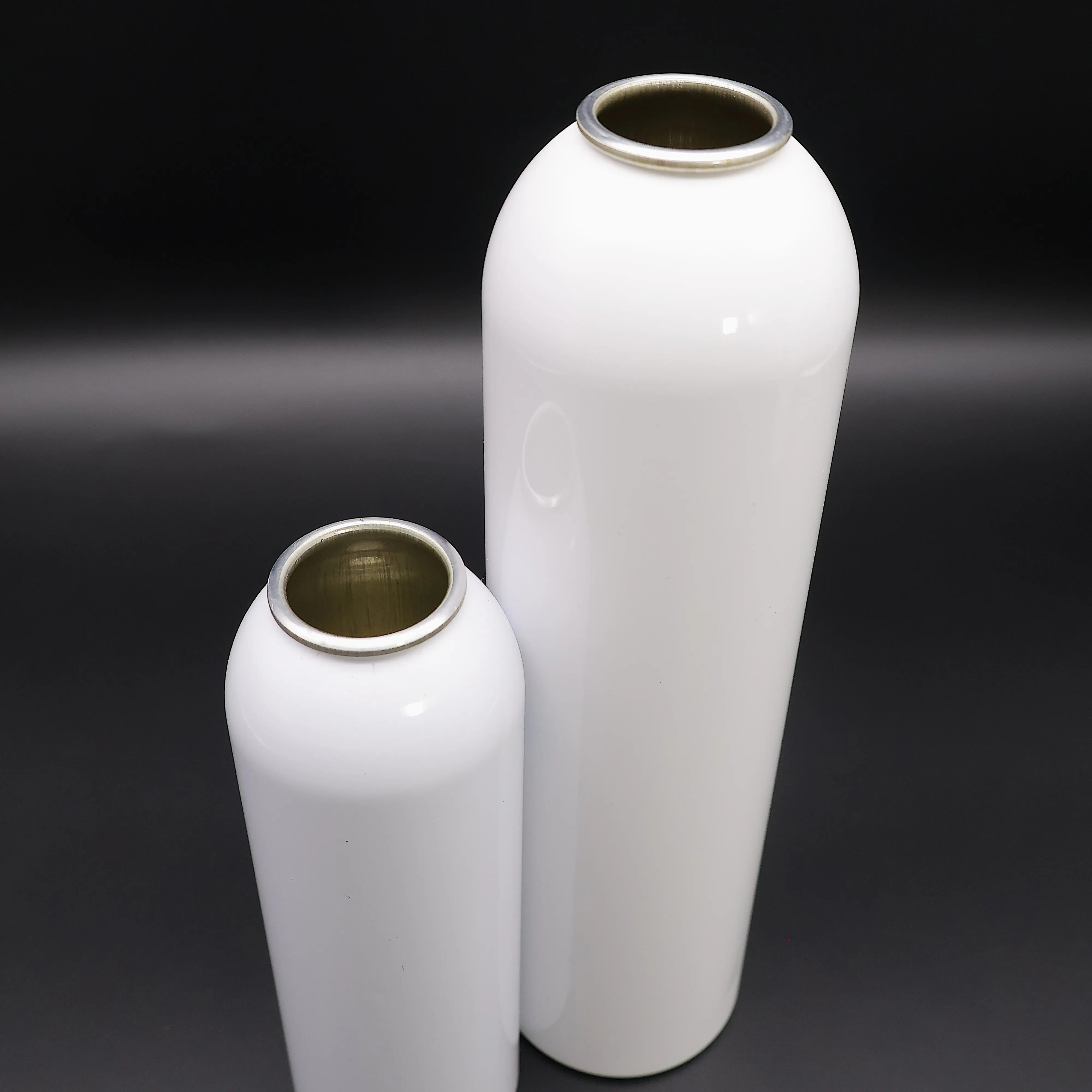 Durable Elegant Premium Spray Can Aluminum Aerosol Bottles Cans Metal Vietnam Manufacturer Wholesale Elegant Metal Bottles 2
