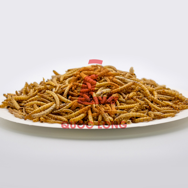 Freeze Dryed Mealworms Fast Delivery Export Animal Feed High Protein Pp Bag Made In Vietnam Manufacturer