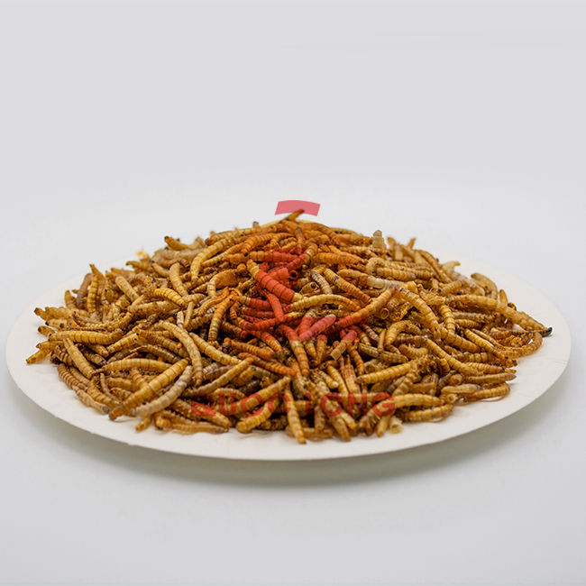 Dried Mealworms For Chickens Fast Delivery Export Animal Feed High Protein Customized Packaging Vietnam Manufacturer 4