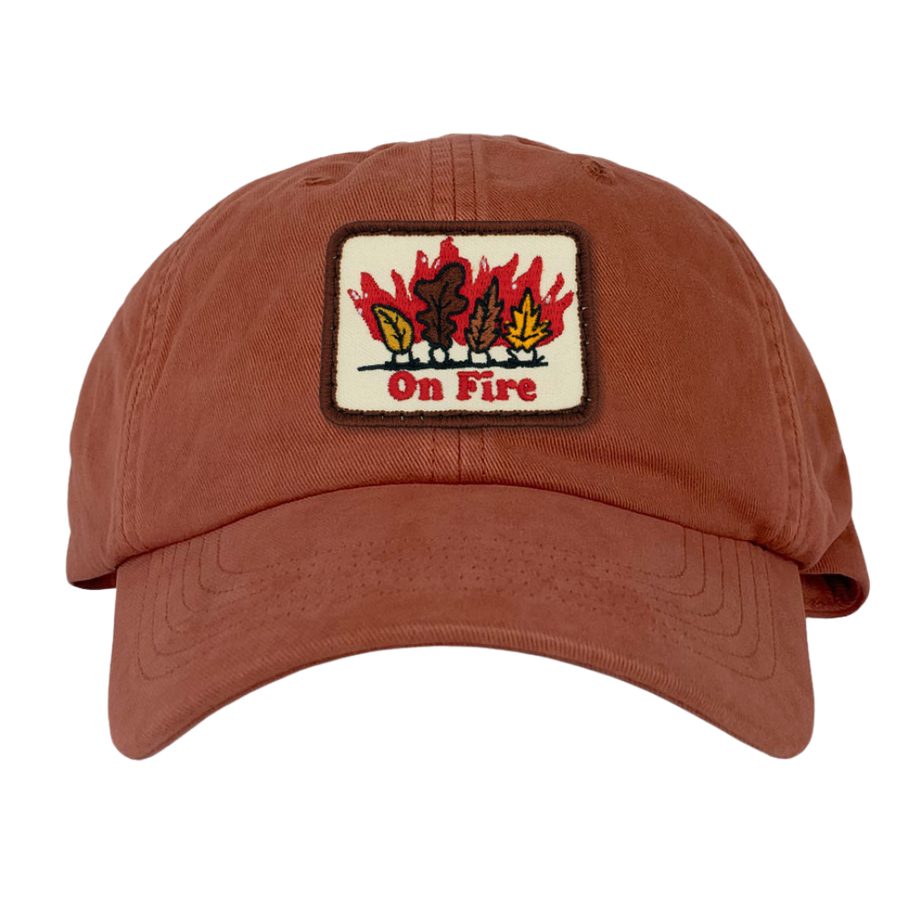 Embroidered Patch Trucker Hat Baseball Dad Hat On Front Side Adjustable Plastic Snapback Closure Brand Business Hiking Shopping 4