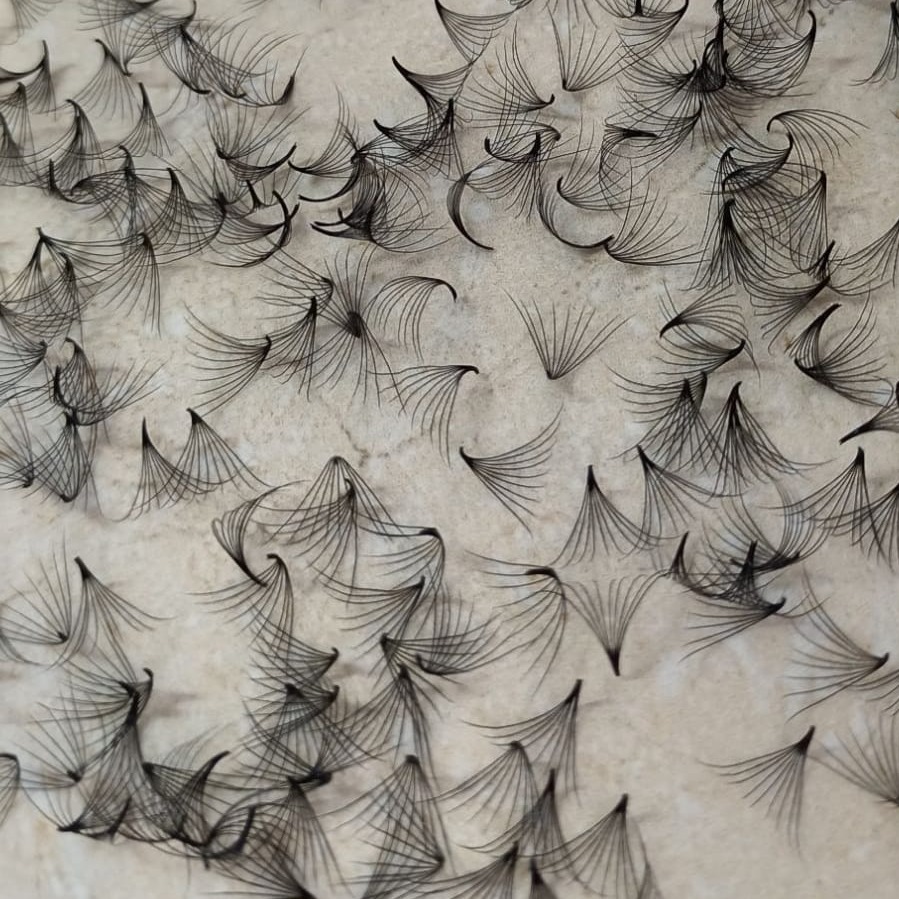 Eyelash Premade Fan 2D-20D 6mm-20mm 1000 fans/box wholesale lash high quality produce in Vietnam factory