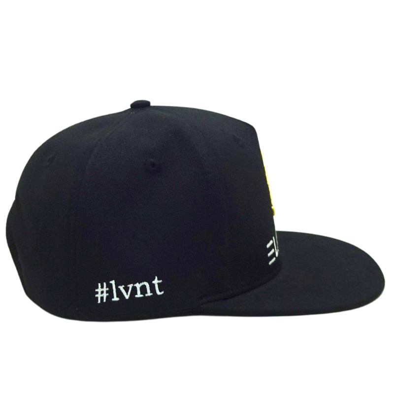 Fashionable Custom Embroidery Logo Multi Panel Private Seam Tape Cap Snapback Hats Vietnam OEM ODM Headwear Manufacturer L01 5