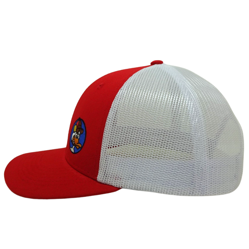 Flat Brim Trucker Hat Cartoon Character Embroidered Logo Vietnam Made 6 Panel Mesh Back Caps Gorras For Animal Lovers Casual L01 4