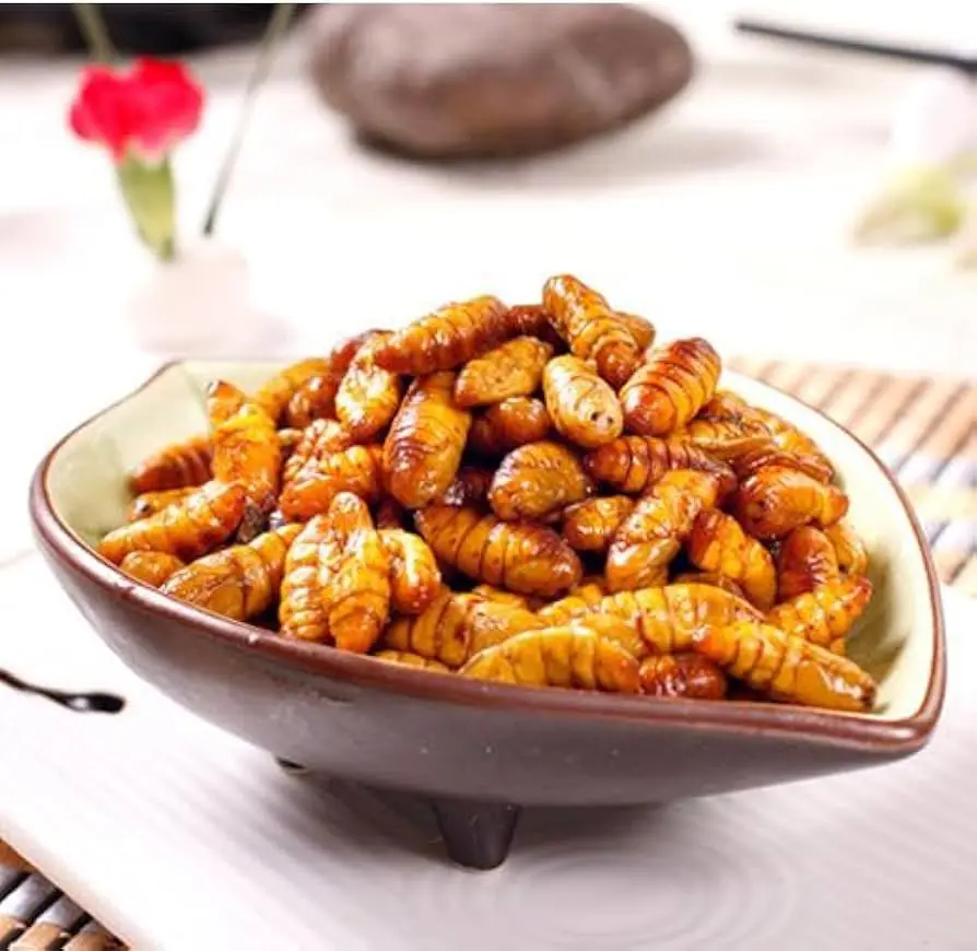 Good Price Frozen Silkworm Pupae For Wholesale 100% Organic Top Grade High Quality Food From Vietnam Manufacturer 6
