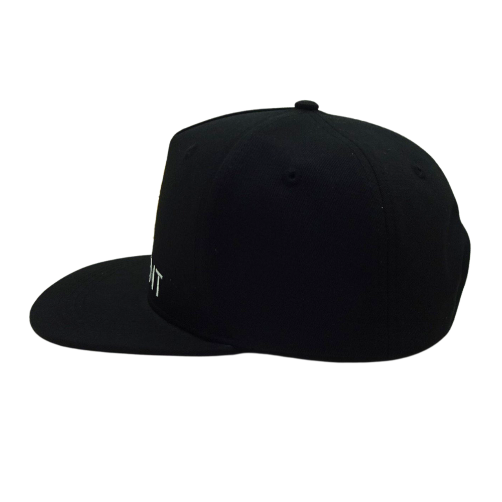 High Quality Factory Design 5 Panel 2D Embroidery Printed Seam Tape Structured Snapback Cap Printed Seam Tapes Wholesale 4