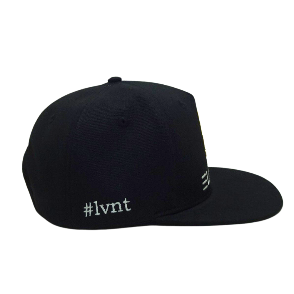 High Quality Factory Design 5 Panel 2D Embroidery Printed Seam Tape Structured Snapback Cap Printed Seam Tapes Wholesale 5