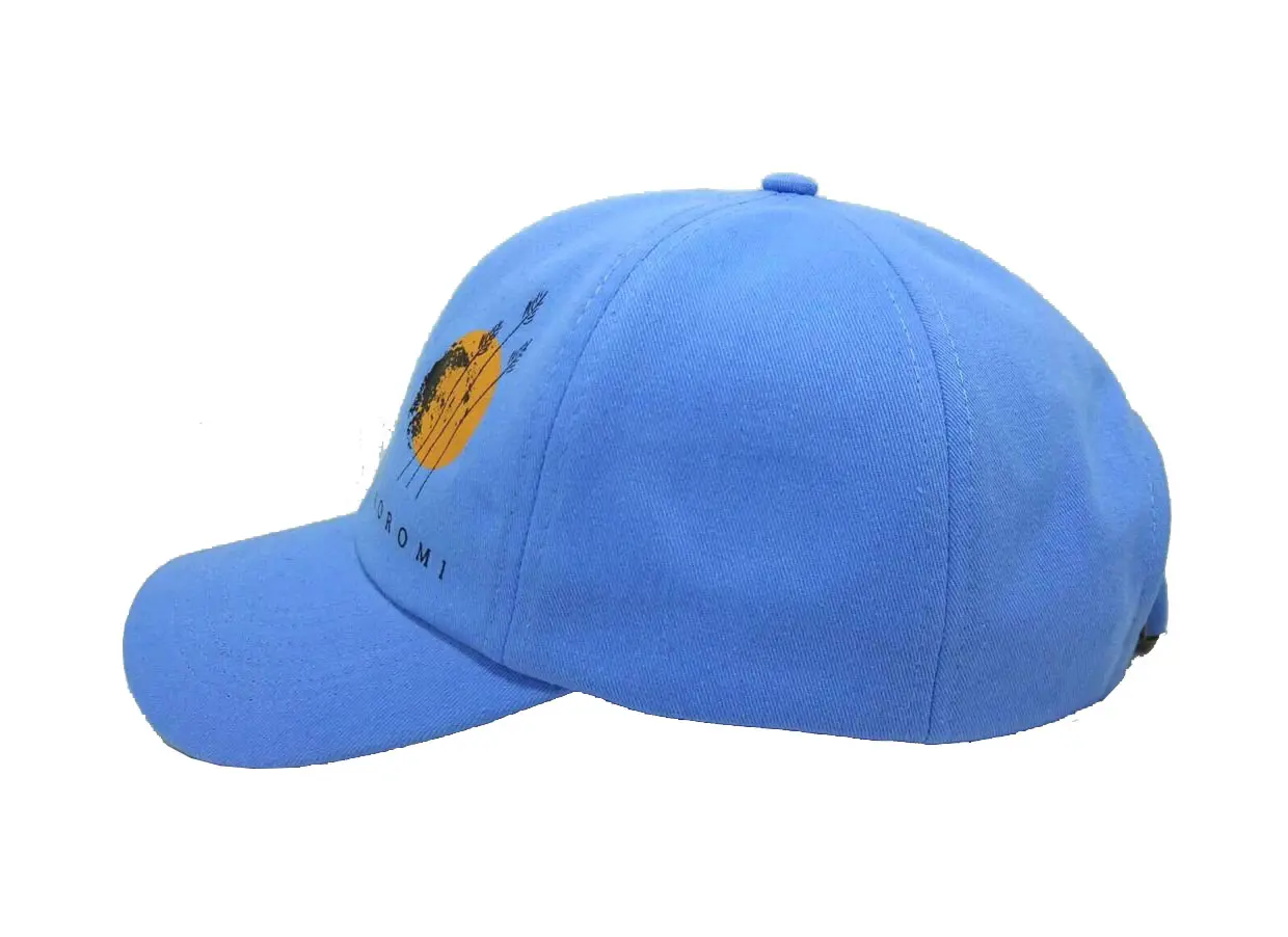 Low Profile 6-Panel Sky Blue Color Polyester Unstructured Curved Brim Baseball Cap in Vietnam Factory 3