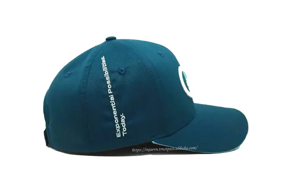 Polyester Made Caps Waterproof Curvel Brim Mid Profile 6 Panels Hats with Custom Logo Gorras 3D Embroidery Custom Made 7