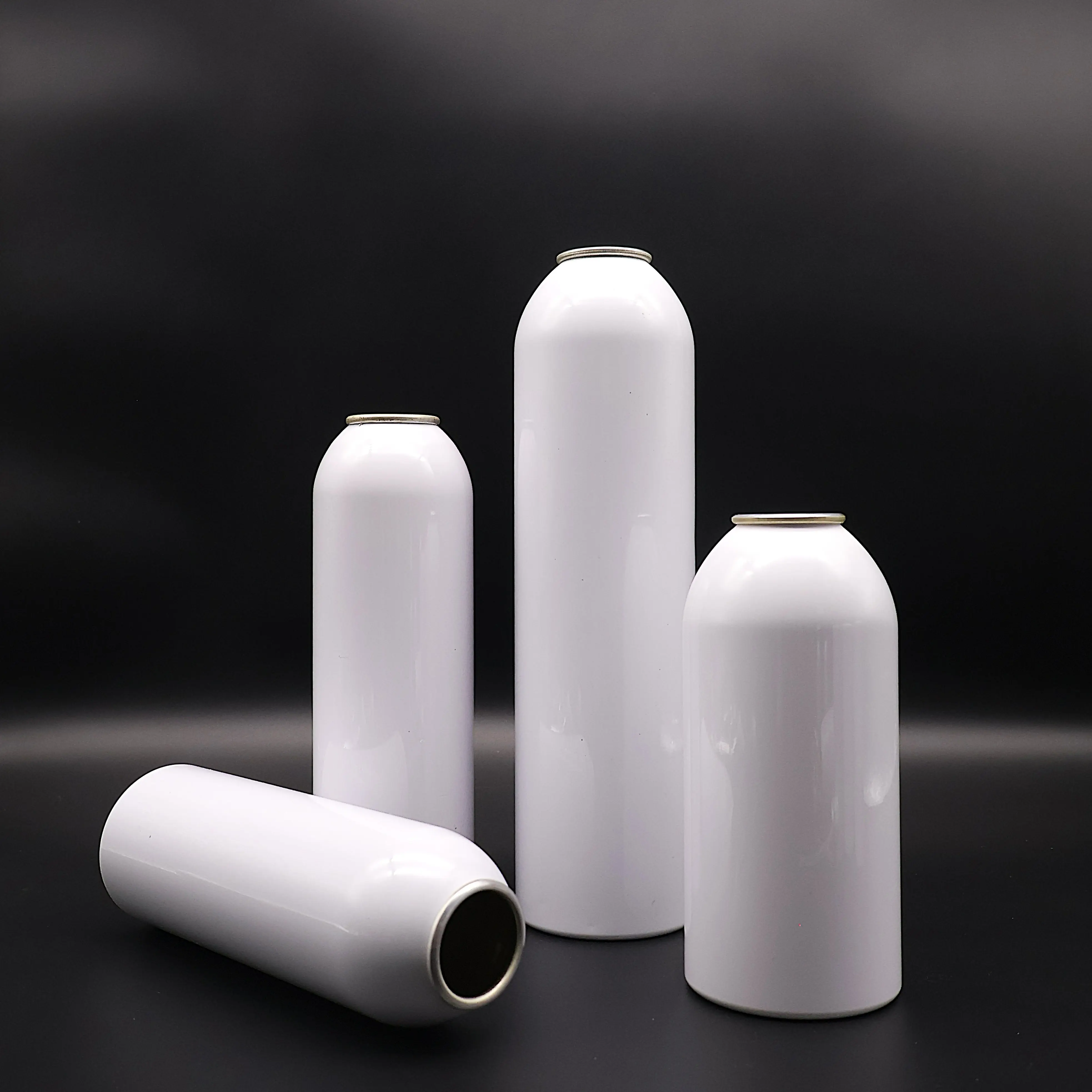 Premium Metal Aluminum Aerosol Spray Can Made in Vietnam Factory for Aerosol Uses