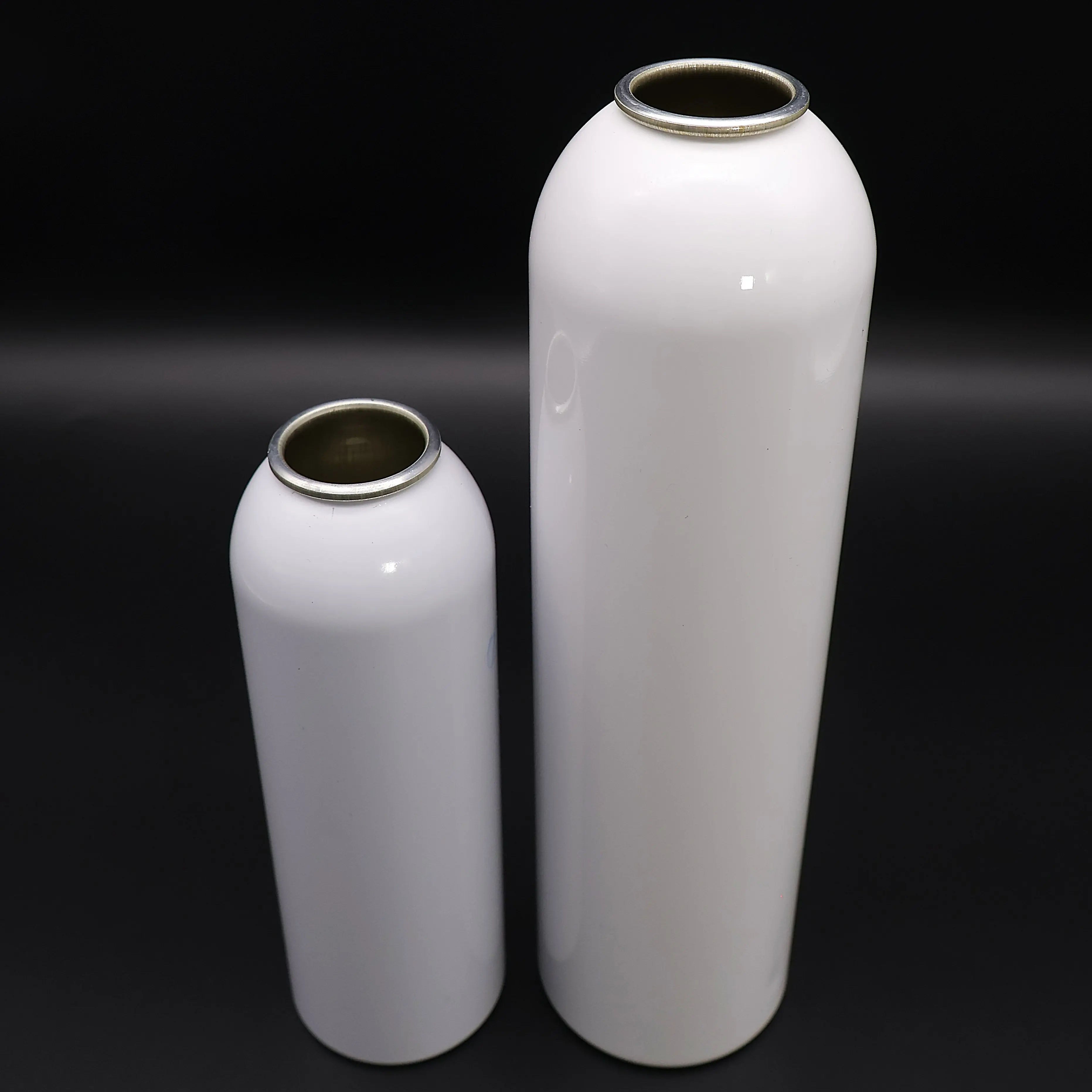 Premium Metal Aluminum Aerosol Spray Can Made in Vietnam Factory Metal Bottles for Aerosol Uses 2