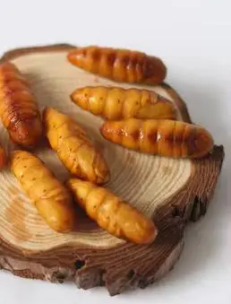Premium Quality 100% Organic Frozen Mulberry Silkworm Pupae Top Grade Reasonable Price Direct From Vietnam Manufacturer 6