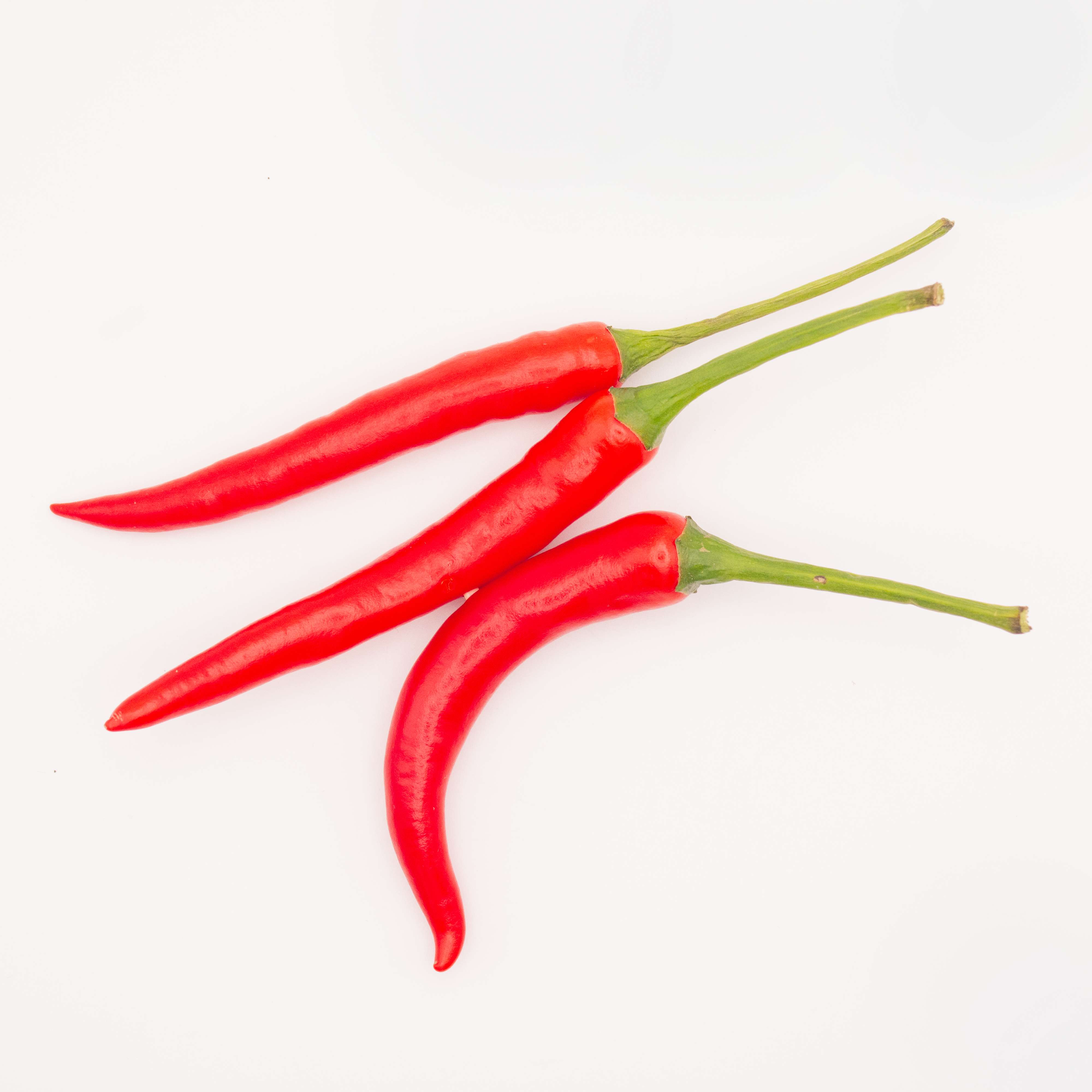Fresh Chili Non Toxic Premium Organics High Grade Fresh Chilli Agriculture Style Packing Herbs Weight Form Vietnam Manufacturer 5