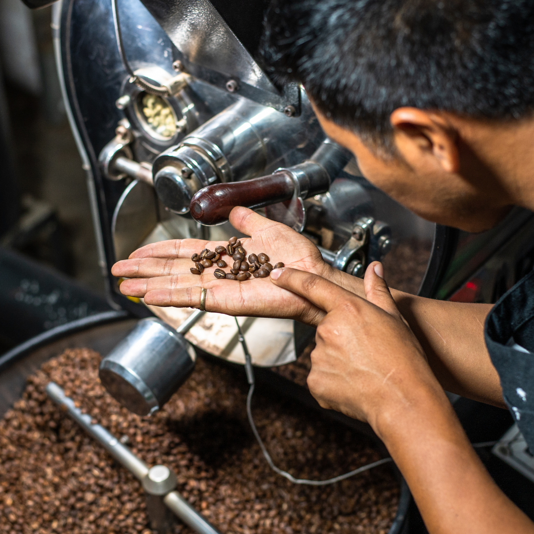 Customized Packaging Delicious Arabica Honey Coffee Beans Arabica Best Seller Wholesale High Quality From Vietnam Manufacturer 4