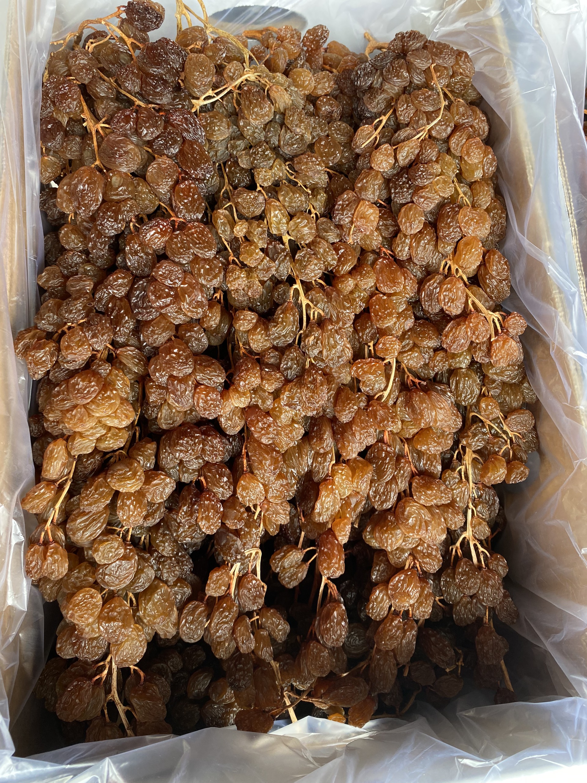 High Quality Dried Grapes OEM ODM Service Raisin Raisin Grape Raisin Drying Manufacturer From Australian Packaging In Vietnam 2