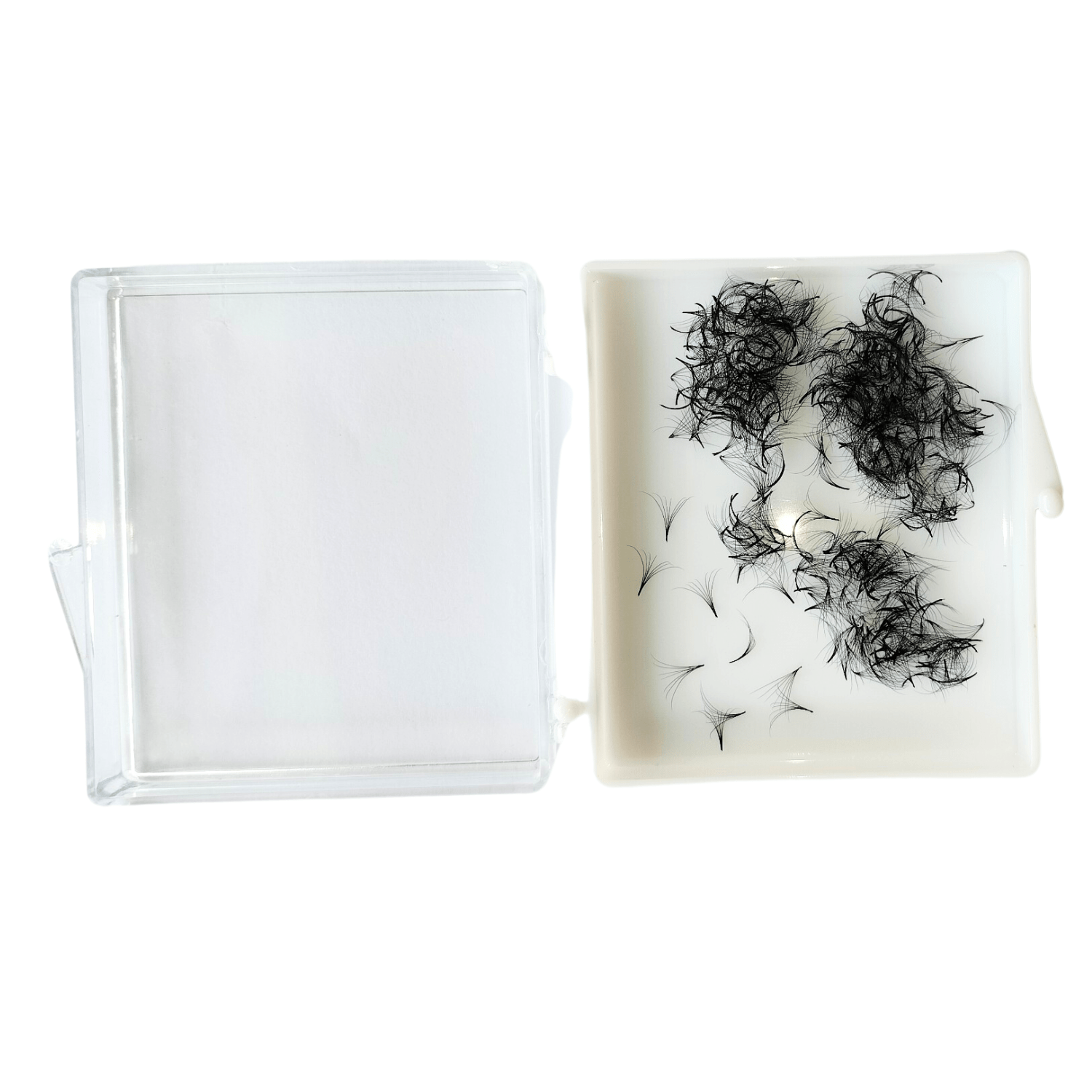 Eyelash Extension Top Choice 3D Premade Fan Eyelash Individual Eyelashes Tray Lash Extensions Using For Beauty Vietnam 1