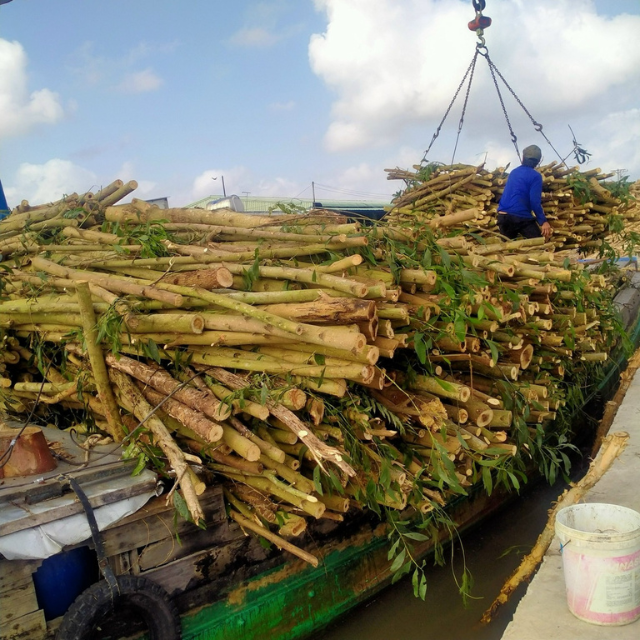 100% Natural Wood Fast Delivery Wood Pellet Grade I2 Vietnam Manufacturer Wood Pellets Price Ton Burning Packed In Jumbo Bag 3