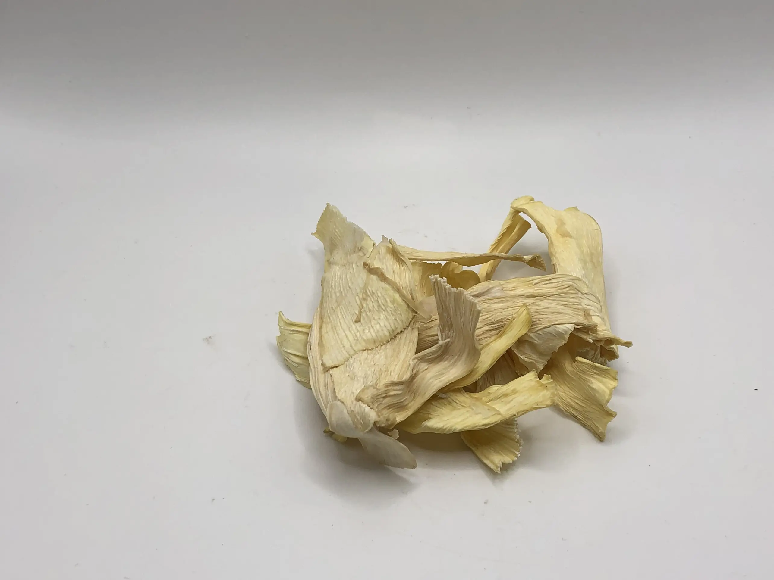 High Quality Competitive Price Dried COCONUT Tubers Premium WHITE SWEET Style Organic From Vietnam Manufacturer 4
