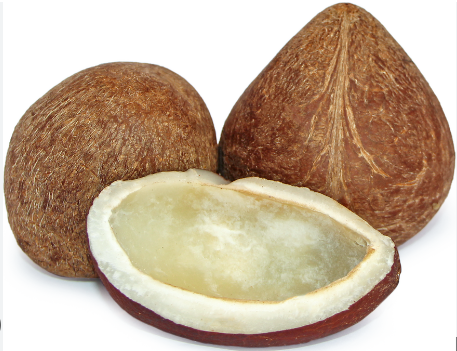 COCONUT EXPORT to DUBAI BAG PREMIUM Prime Top Tropical Style Packing Board Color Weight BROWN NATURAL Origin Type Bank FOB NUT 4